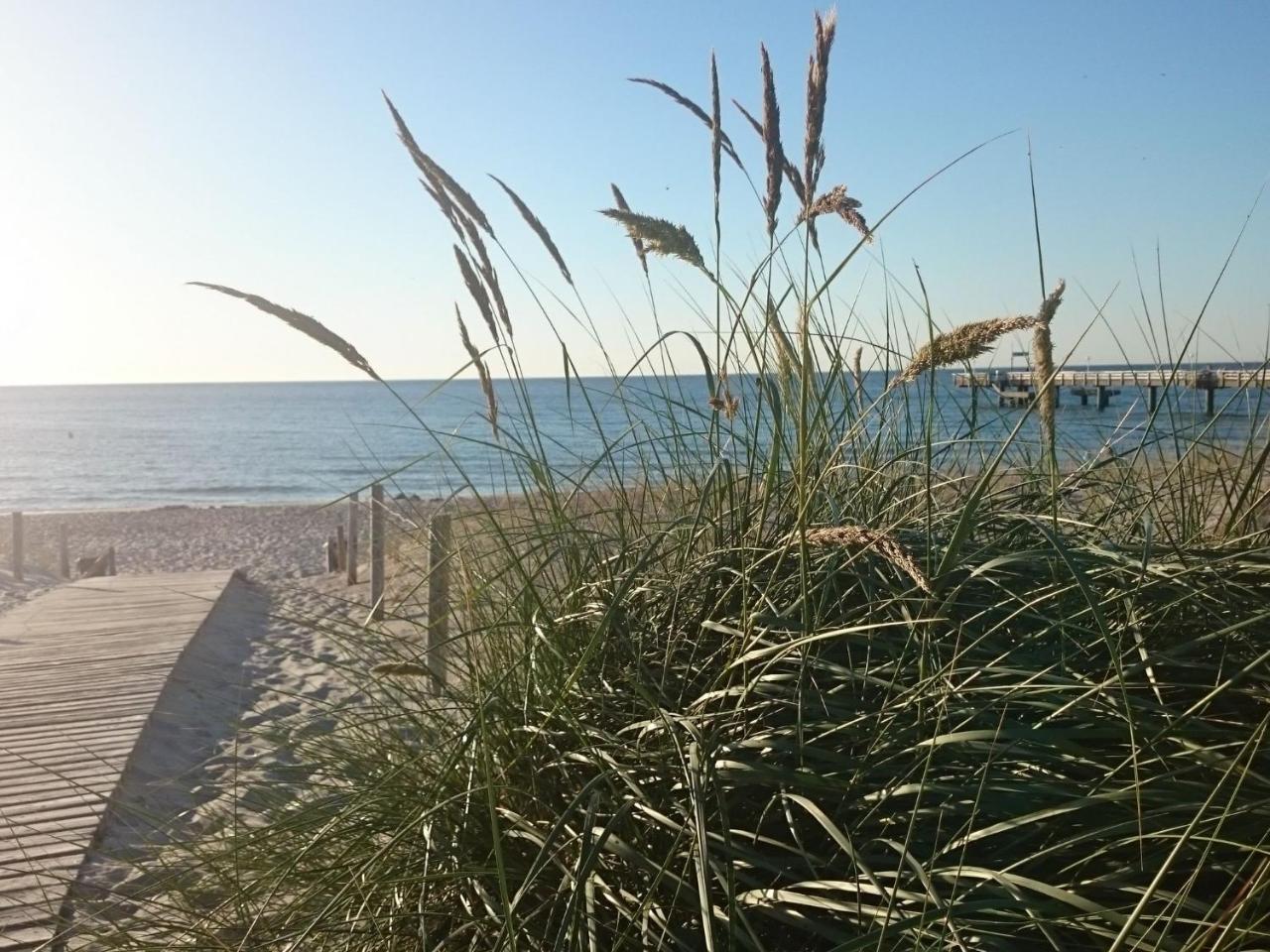 Holiday Home In Rerik Near The Baltic Sea المظهر الخارجي الصورة